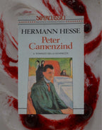 AMARENA NARRATIVA - 12