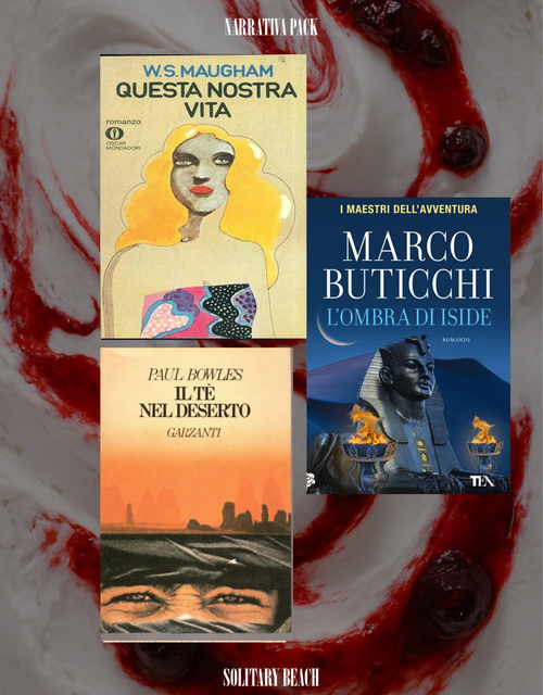 AMARENA NARRATIVA - 17
